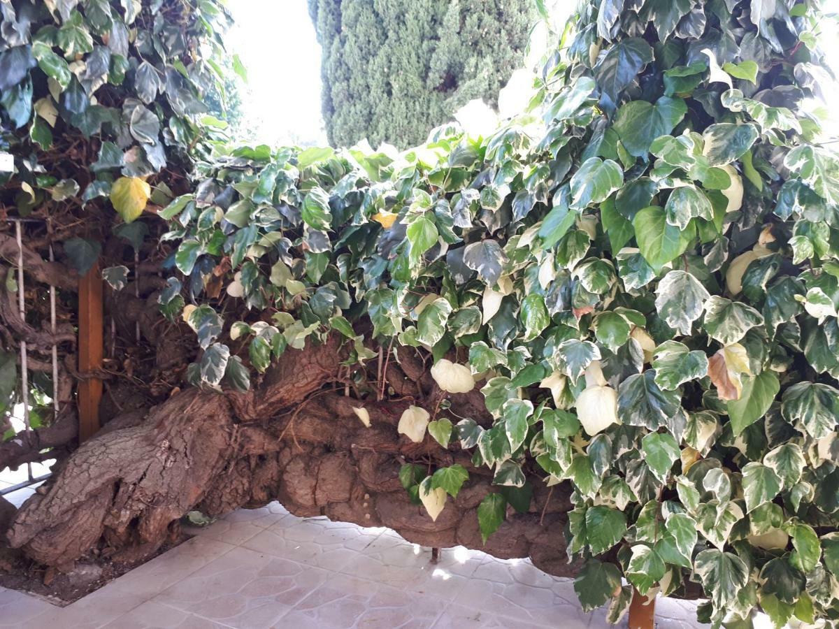 Hotel La Mia Resilienza Nei Sassi Di Matera Exterior foto